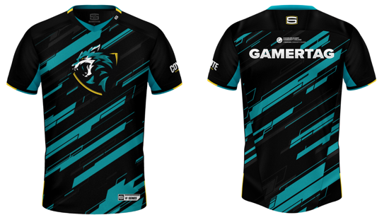 Picture of CGCC ESports Team Jersey