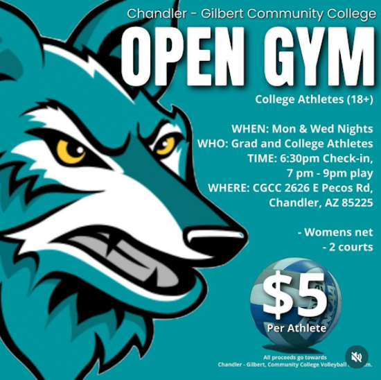 Picture of CGCC Volleyball Open Gym