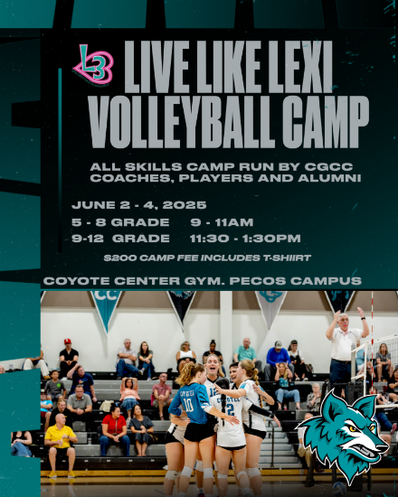 Picture of CGCC Volleyball Camp 